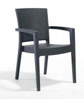 Paris Arm Chair Grey